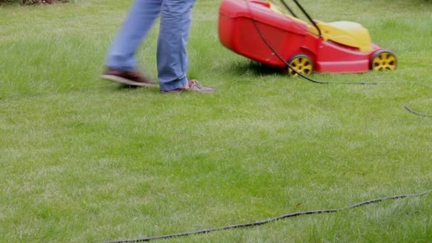 Homme coupe pelouse avec tondeuse à gazon électrique . — Video