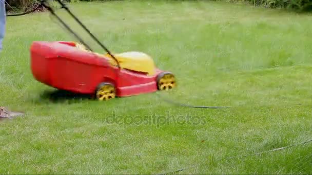 Muž stříhání trávníku s elektrická travní sekačka. — Stock video