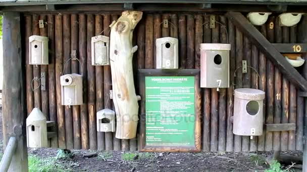 Tipos de Logias para Aves en el Parque — Vídeo de stock