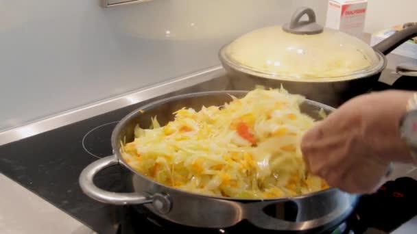 Vrouwelijke Hand mixen gebakken kool in een koekenpan — Stockvideo