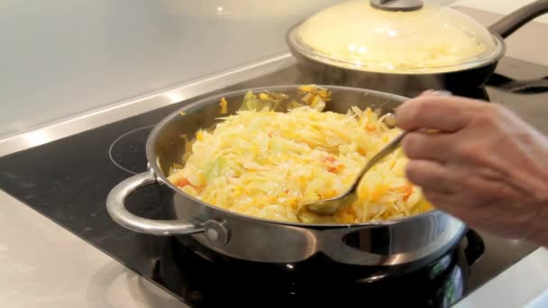 Female Hand Mixes Fried Cabbage in a Frying Pan — Stock Video