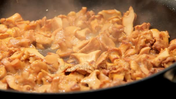 Frying Pan With Mushrooms on the Electric Stove. — Stock Video