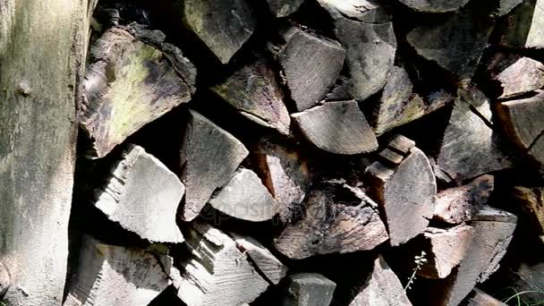Achtergrond van droog gehakte brandhoutblokken in een stapel — Stockvideo