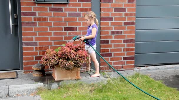 Little Girl Watering a Beautiful Bush — Stock Video