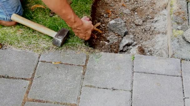 Werknemer bereidt plaats voor het leggen van beton bestrating platen — Stockvideo