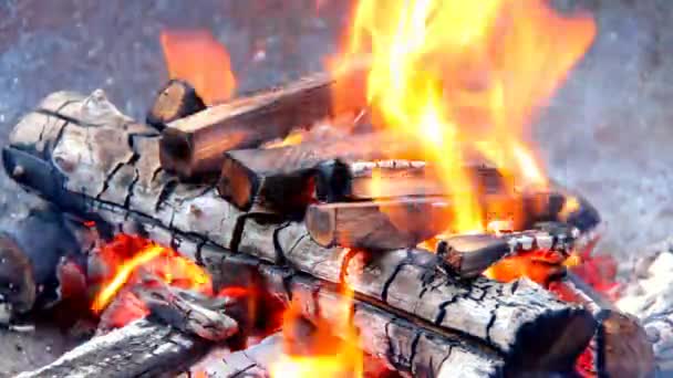 Las llamas parpadean en una fosa de fuego de jardín abierto — Vídeos de Stock