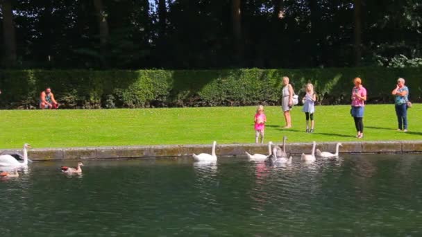 Ставок і озеро в зворотному боці Бенратська палацу в Дюссельдорфі — стокове відео