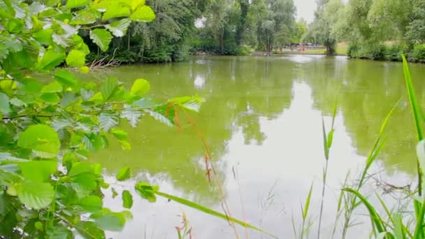 une image d'un beau lac 