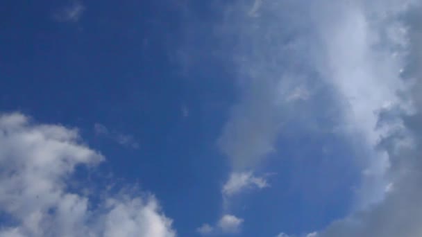 Ren molnen på den blå himlen — Stockvideo