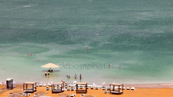 Playa del mar muerto — Vídeo de stock