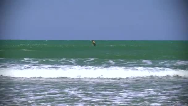 Stand up Paddle Board Man in de Middellandse Zee en vallen op de golven — Stockvideo