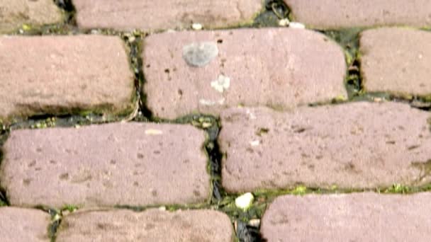 Stone trottoaren på Old Street i centrum av Baden-Baden — Stockvideo