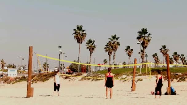 Jóvenes amigos disfrutando de las vacaciones en una playa de arena . — Vídeo de stock