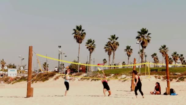 Група молодих дівчат, грати з м'ячем на пляжі — стокове відео