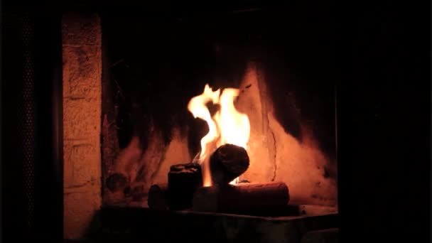 Πυρκαγιά σε ένα Fireplase. Στατική βίντεο. — Αρχείο Βίντεο