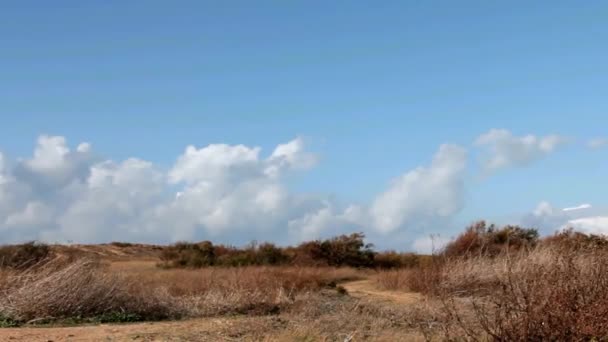 도 모래 언덕 크로스와 푸른 하늘 배경 및 모션에 구름에 자동 스포츠 트랙 시간 경과 — 비디오