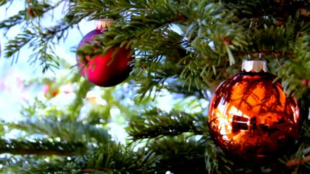 Украшенная елка с цветными шариками — стоковое видео
