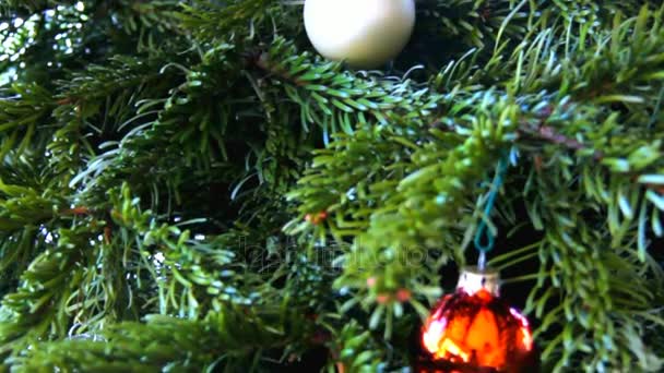 Zdobené vánoční strom s barevnými kuličkami — Stock video
