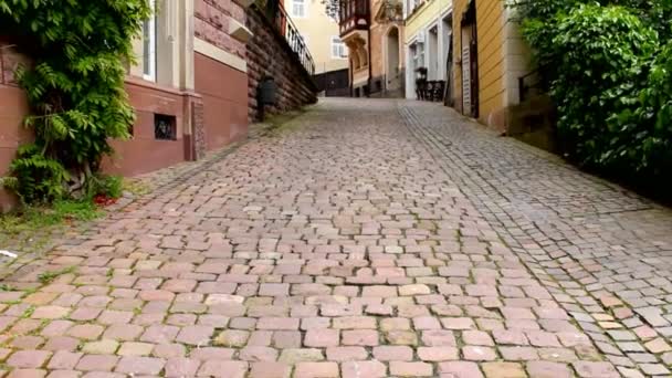 Ursprungliga byggnaden på Old Street i centrum av Baden-Baden — Stockvideo