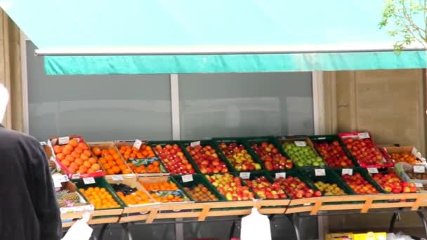 신선한 과일 및 야채를 가진 greengrocery. — 비디오