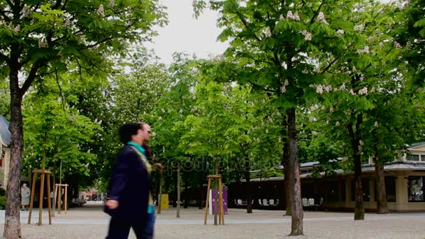 Steegje met bloeiende kastanjes in het centrum van de stad. Baden, Kaiserallee — Stockvideo