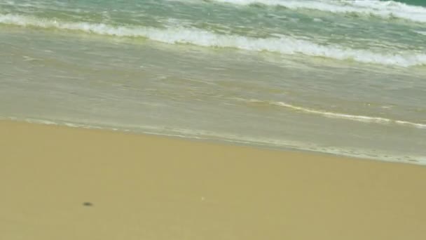 Mer Méditerranée. Petites vagues sur une plage de sable — Video