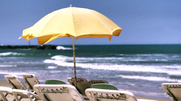 Žlutá slunečník a lehátka na pláži — Stock video