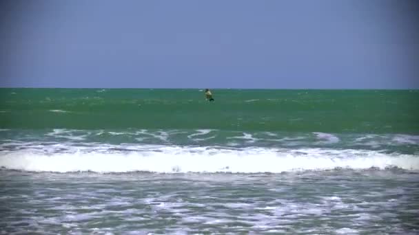 Встать на весло доска человек гребля в Средиземном море — стоковое видео