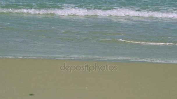 Petites vagues sur une plage de sable fin à la mer Méditerranée — Video
