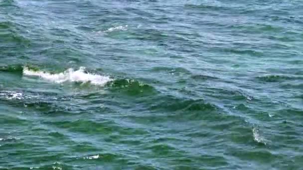 Krásné moře charakter povrchu pozadí — Stock video