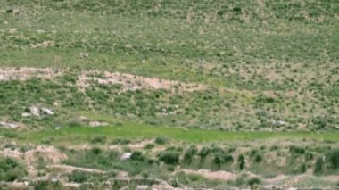Herodion Truncated Cone-Shaped tepedir. Judean Desert. İsrail