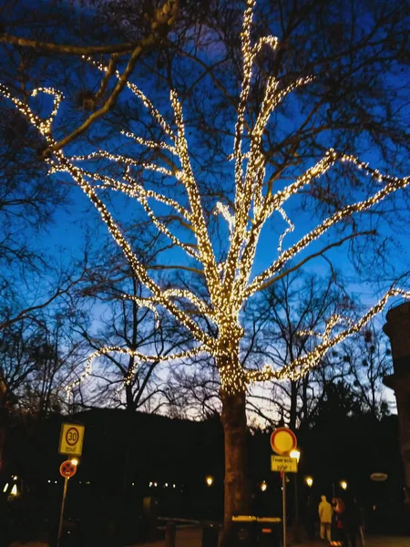 Ingericht kerstboom — Stockfoto