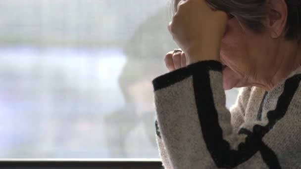 Affärskvinna i glas arbetar framför ett fönster i ett tåg i rörelse — Stockvideo