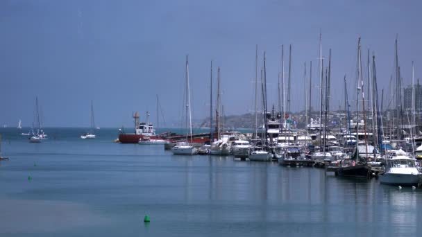 Jachten manoeuvres in de jachthaven — Stockvideo