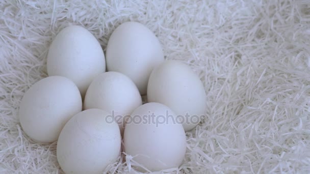 Nagy fehér tyúk tojások a fészekben — Stock videók