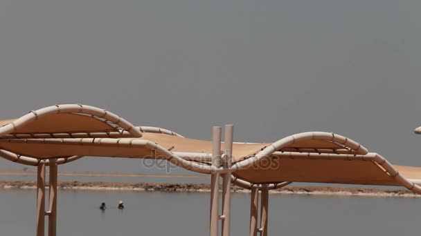 As pessoas tomam tratamentos de água no Mar Morto — Vídeo de Stock