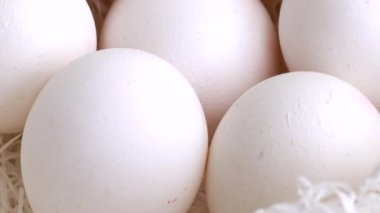 Makro görünümü yuvanın tavukları ile beyaz yumurta