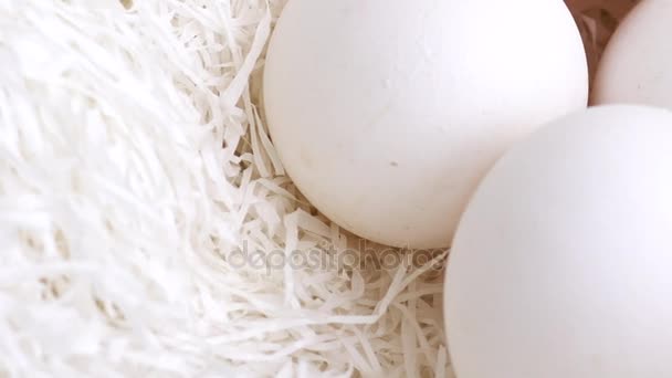 Œufs de poules blanches dans un nid. Vue macro . — Video