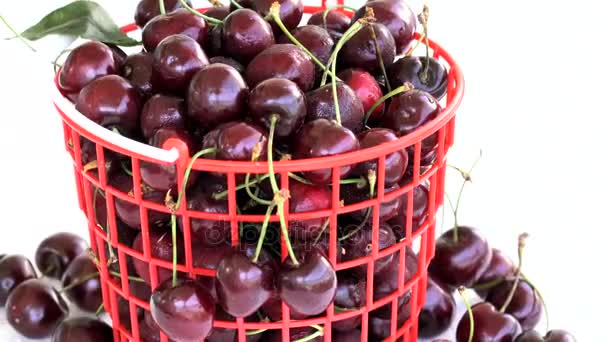 Rotazione della ciliegia in un cestino di plastica rossa — Video Stock