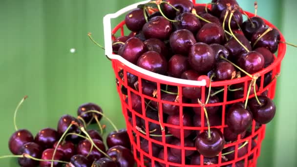 Red Plastic Basket With Cherry — Stock Video