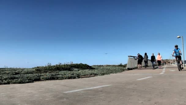海沿いの通路で丹念人 — ストック動画