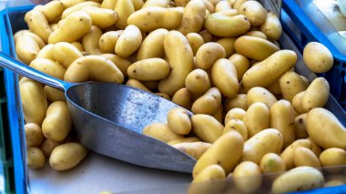 Organik şehir pazarında sepette yeni patates