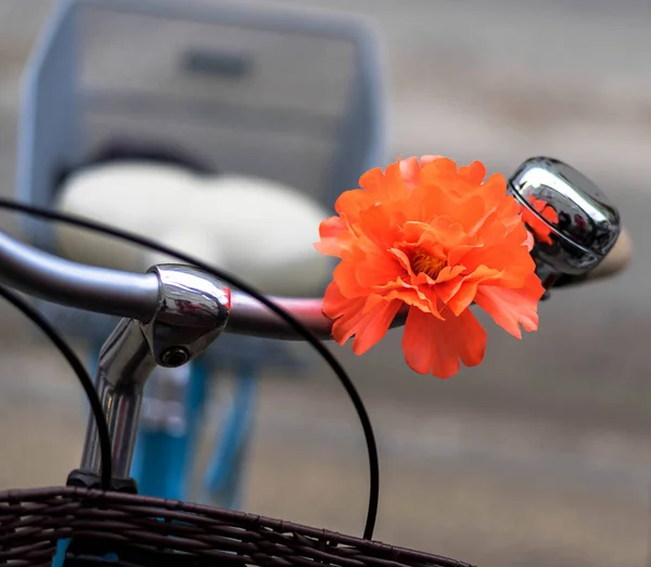 Kierownica do roweru z czerwony kwiat ozdobiony Selektywny fokus Wyświetlono siodło i koła w tle z miejsca na tekst. — Zdjęcie stockowe