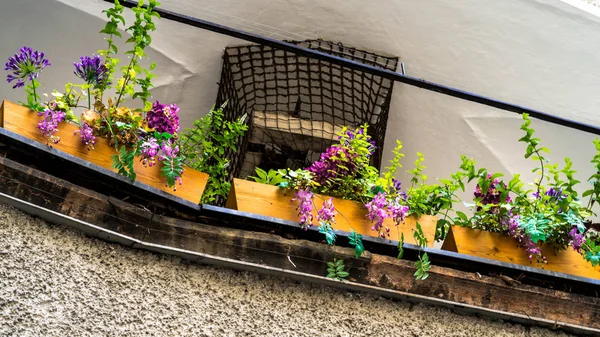 Veranda galerileri ve çiçekler ile eski Salzburg bina — Stok fotoğraf