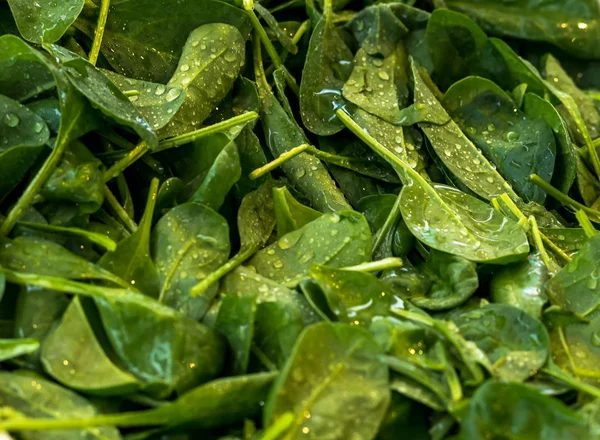 Spinach. Spinach leaves on a market outside. Organic spinach. Spinach background — Stock Photo, Image