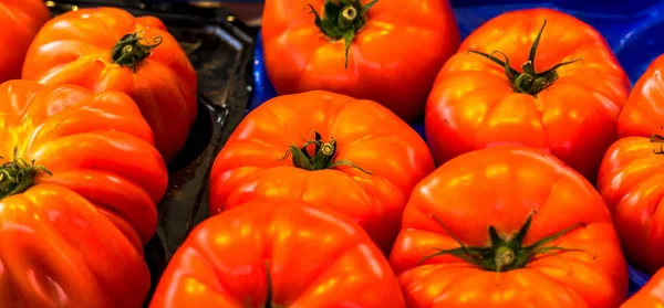 Close up of fresh organic tomatos at outdoor market — Stock Photo, Image