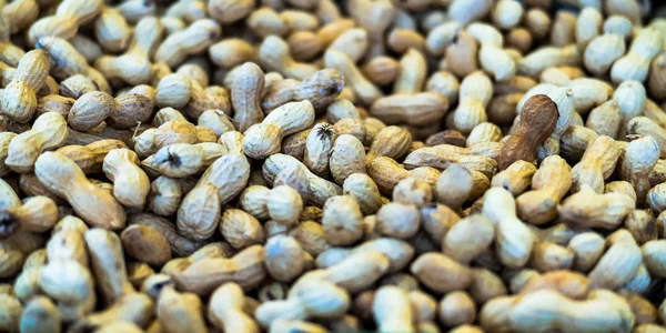Large group peanuts on market for sale close up background shot — Stock Photo, Image