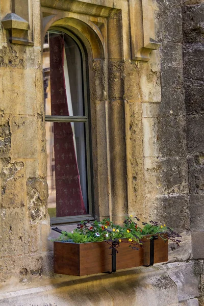 Starý čtyřúhelník Brasenose college Oxfordské univerzity — Stock fotografie