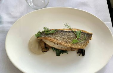 Güzel yemekler, mantarlı ızgara balık filetosu ve otlar.