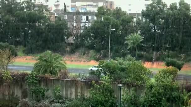Tel Aviv Israel Ιανουαριου 2020 Έντονη Τροπική Βροχή Κατά Καιρούς — Αρχείο Βίντεο